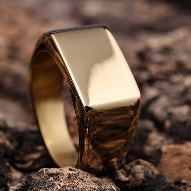 Mirror-Finish Titanium Signet Ring